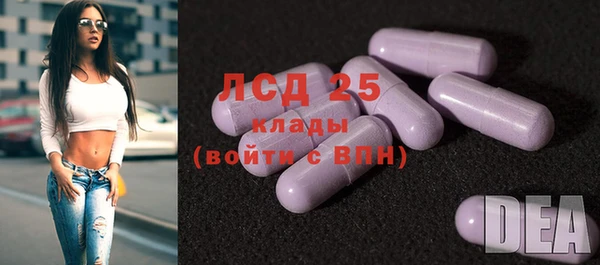 сатива Алексеевка
