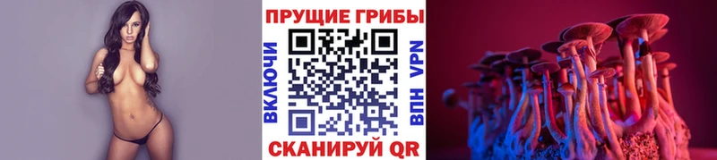 купить наркоту  Касимов  Галлюциногенные грибы прущие грибы 