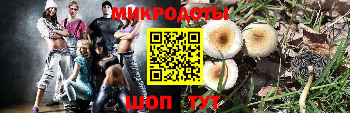 Псилоцибиновые грибы MAGIC MUSHROOMS  Вход с VPN  Касимов 