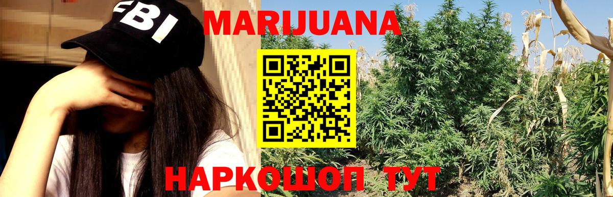 Бошки Шишки сатива Касимов